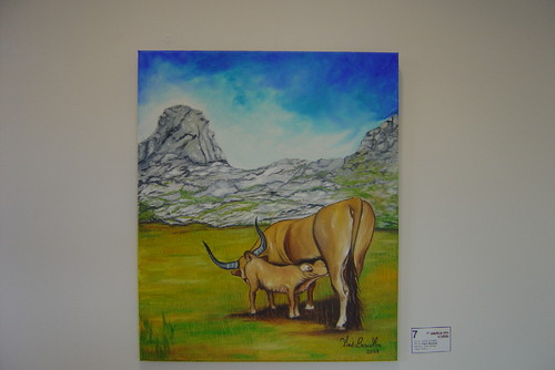 Pintura de gado bovino nos Cornos das Alturas do B