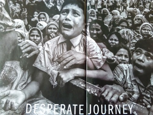 IMG_20171126_131350.jpg IMG_20171126_131350.jpg