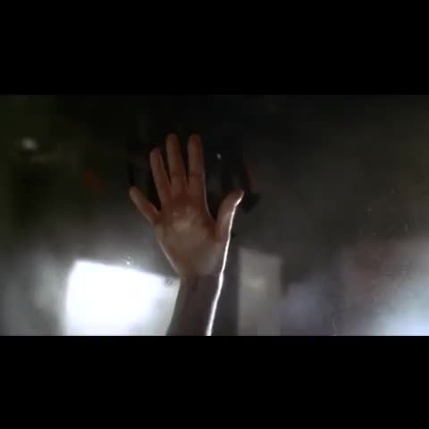 97F5479DF51217890542697046016_3.1.5.29614868119844 97F5479DF51217890542697046016_3.1.5.29614868119844