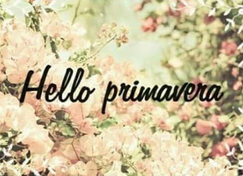 IMG_3169.JPG IMG_3169.JPG