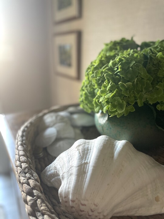 thumbs.web.sapo.io-2 - cópia 3.jpeg