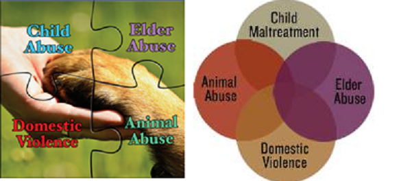 abuso animal.png