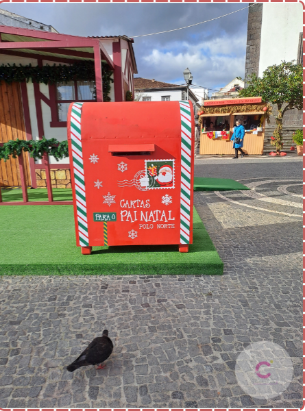 Dina Coelho (13).png