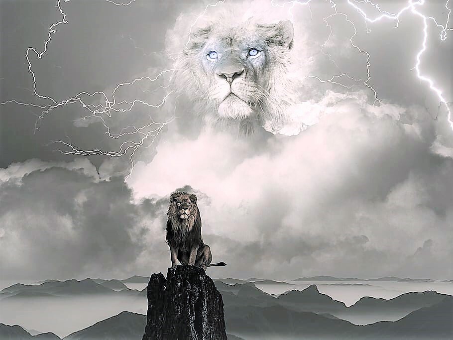 lion-clouds-sky-nature-architecture-blue.jpg