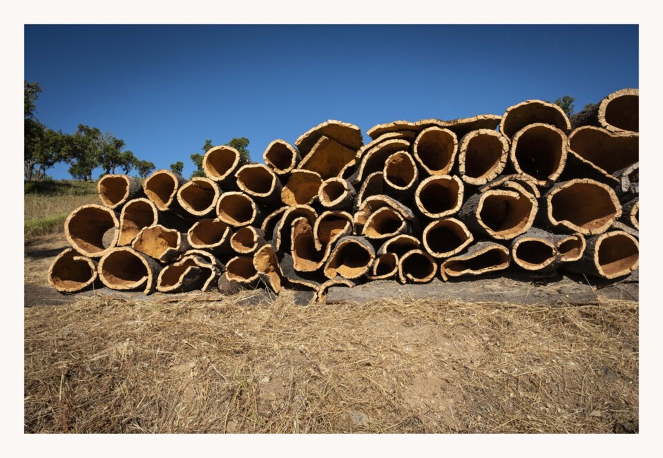 tumblr_154dac5e0f9a21097b0172d0b8509227_375a77c3_2