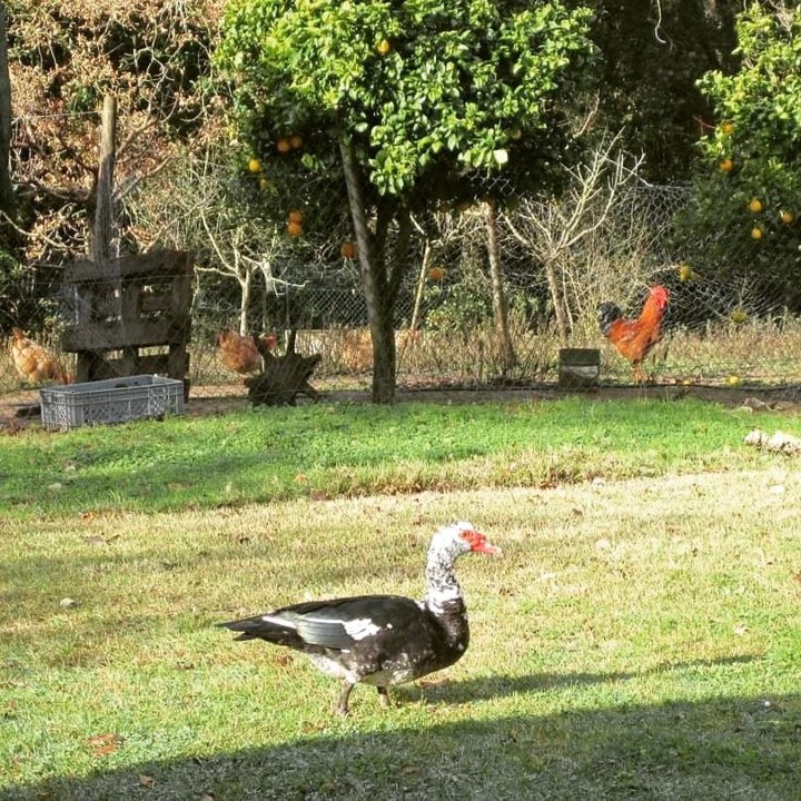 278587836_2290957957710619_3023133024636249979_n.j