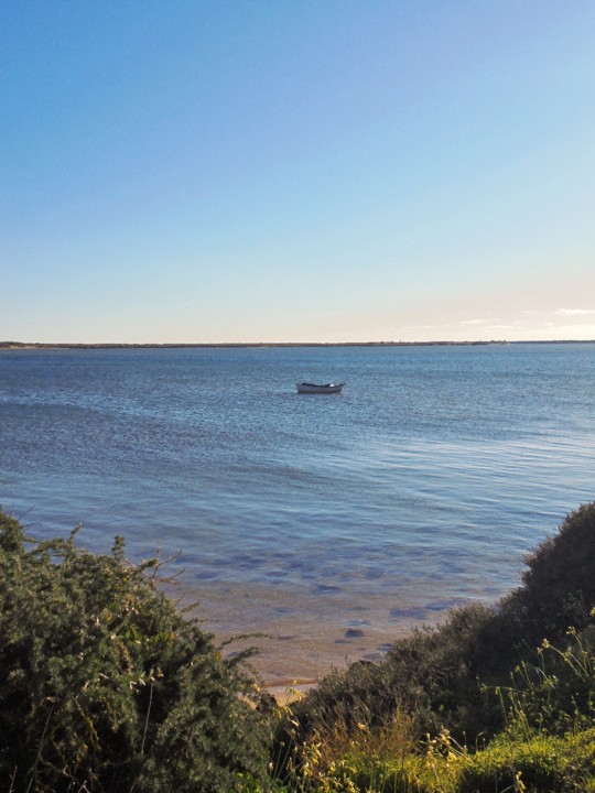 Ria de Alvor_J21.JPG