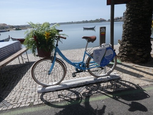 13a_Praia_de_Mira (83).JPG