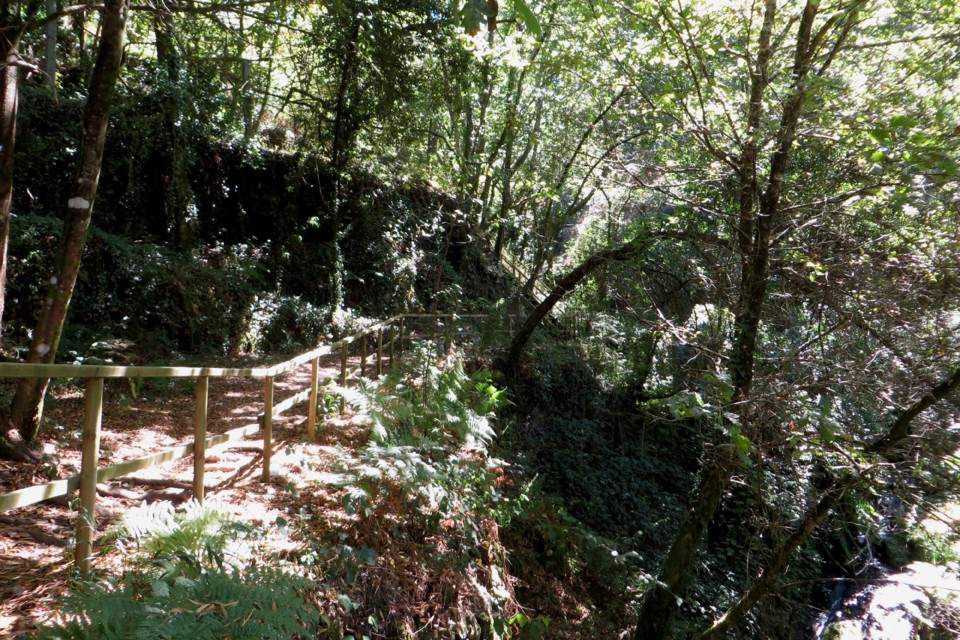 IMG_3065.JPG IMG_3065.JPG