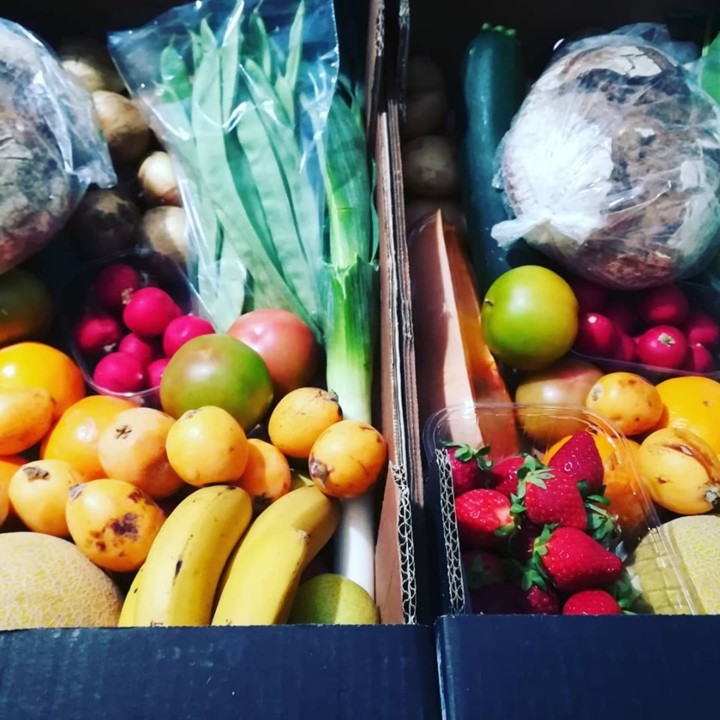 60045426_1363896267083464_6618424859447787520_n.jp