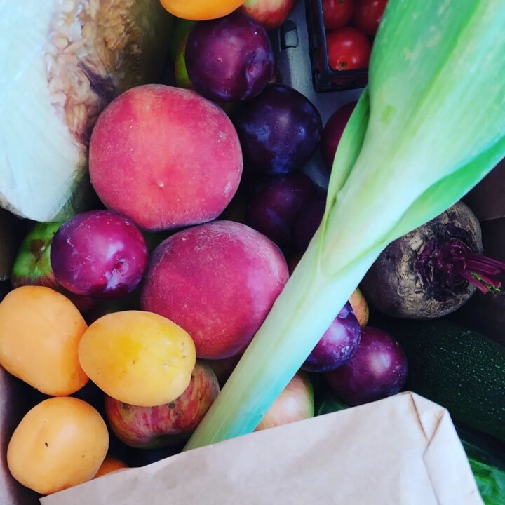 360106457_657080509782696_2859708014951620668_n.jp