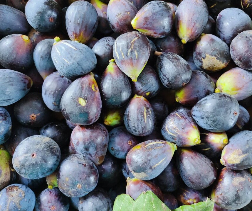 550809616_18500153830066958_91974303773150111_n.jp