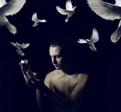 silêncio ardente dos pássaros