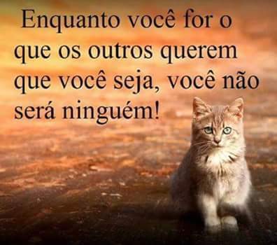 FB_IMG_1453877438191.jpg FB_IMG_1453877438191.jpg