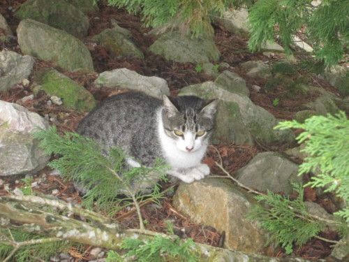 IMG_5191.JPG IMG_5191.JPG