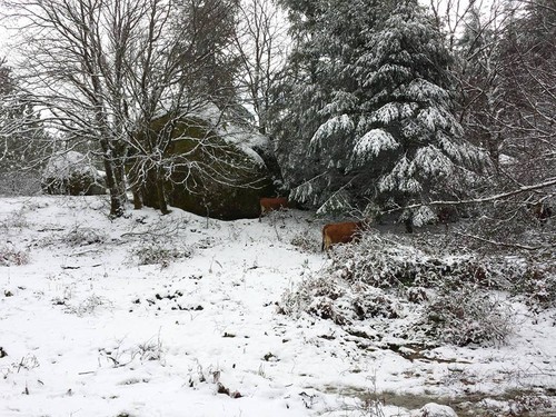 12798988_1001999019870687_5330419766574640068_n.jp