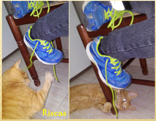 brincadeira.jpg brincadeira.jpg