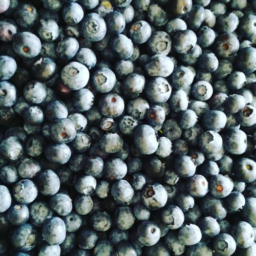 36277994_1127436464062780_5106642108362522624_n.jp