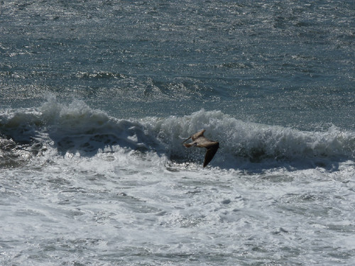 P1130796.JPG P1130796.JPG