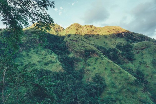 22279972_10214603965122901_5076936589352104099_n.j