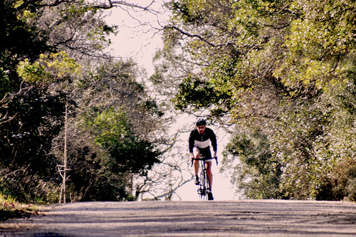 ciclista.jpg ciclista.jpg
