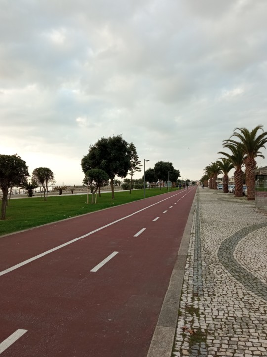 IMG_20201113_161414 (2).jpg