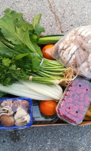 44757115_1231771330295959_5674026057171206144_n.jp 44757115_1231771330295959_5674026057171206144_n.jp