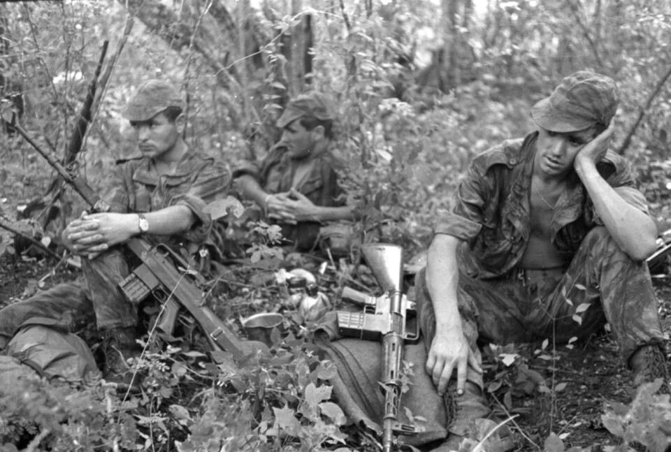 ...Napota- descanso nas brenhas785.jpg