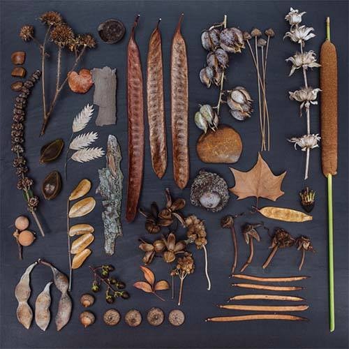 10295819_10201544381250983_1555439234928510203_n.j