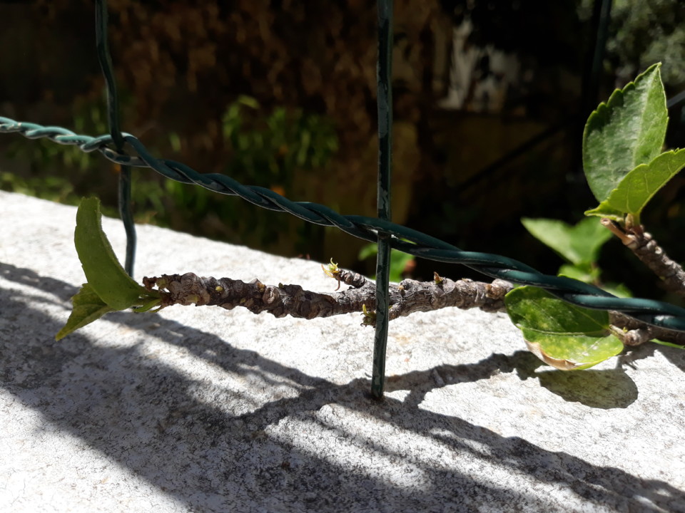 20200818_141729.jpg 20200818_141729.jpg