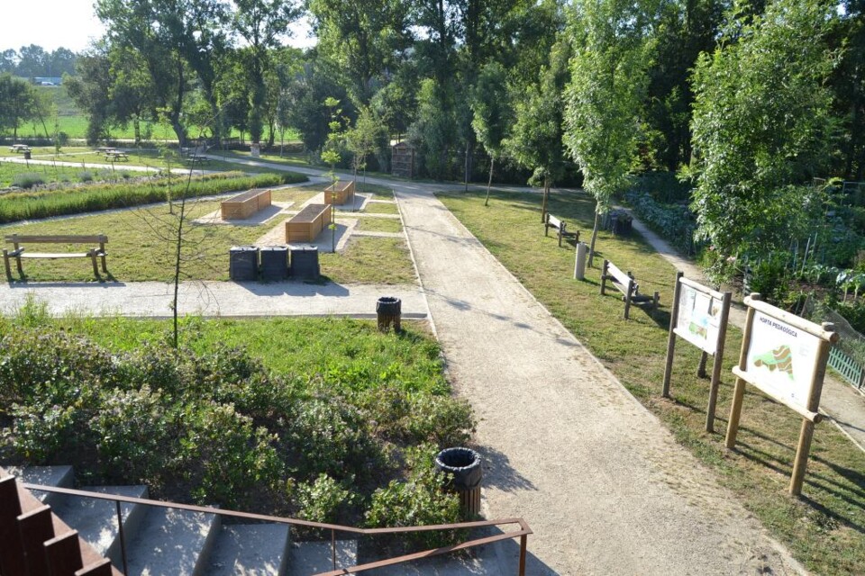 Horta Pedagógica (1) (2).jpeg