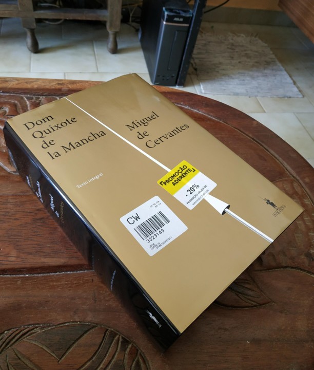 dom quixote (2).jpg