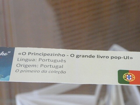 02b_EXposição_O_Principezinho (7).JPG