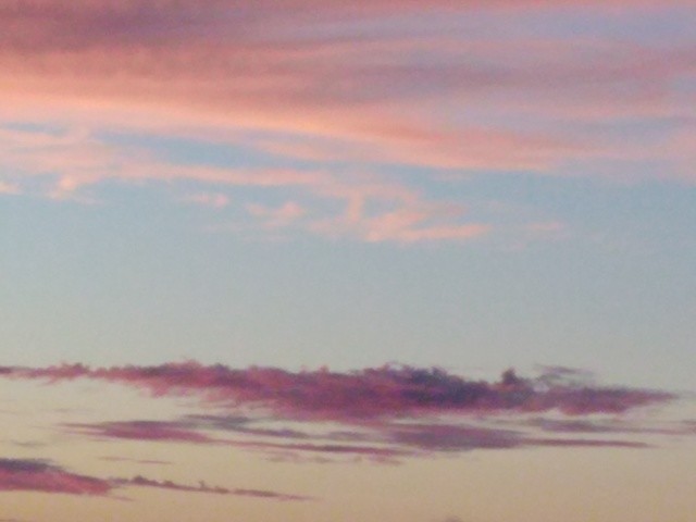 IMG_20201009_191503.jpg IMG_20201009_191503.jpg