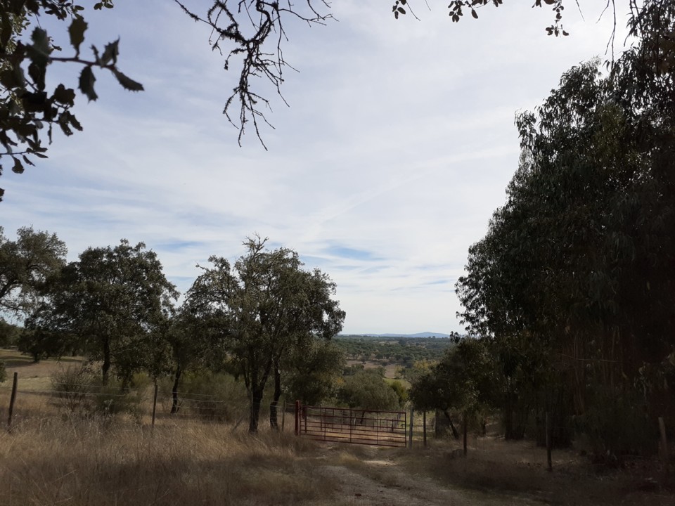 Montado e Serra I. Foto Original. 2021.10.09.jpg