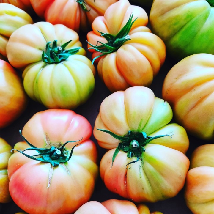 256642513_2165884363551313_3384306544622432241_n.j