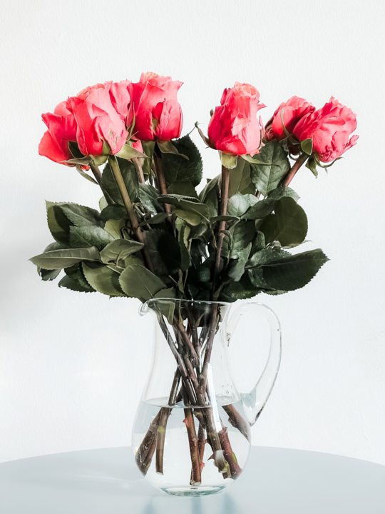 Design sem nome - 2025-10-30T110743.335.png