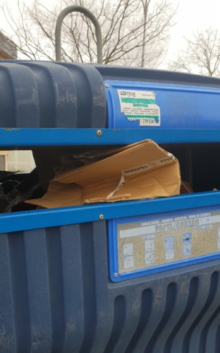 papelao.jpg papelao.jpg