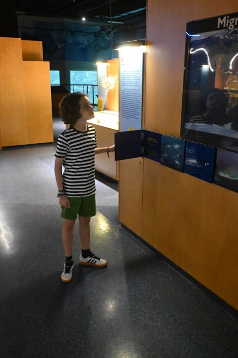 Não me canso disto mini.JPG