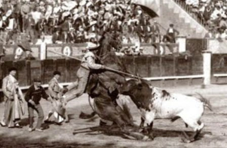 Picador sem petos.png