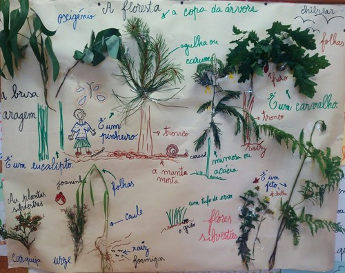 IMG_20150518_163419 (1).JPG