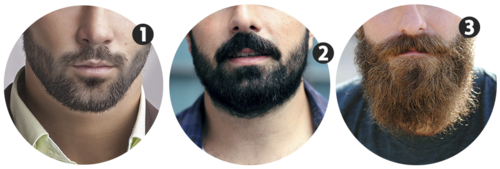 Bolas - Postagem Etnica.png Bolas - Postagem Etnica.png