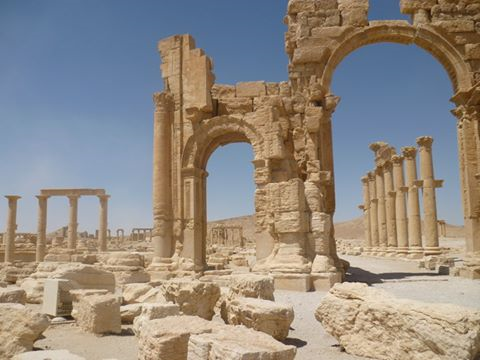palmyra1.png