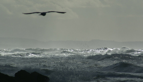 A dúvida...lá longe.