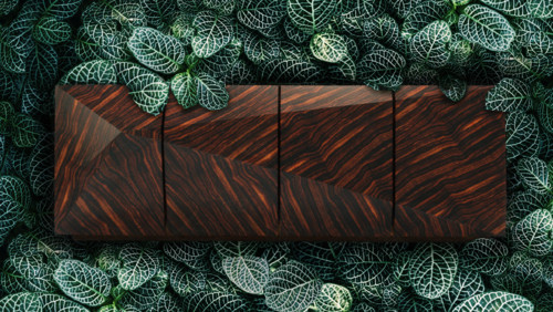 METAMORPHOSE I and Wallpaper by Nuno Matos Cabral 