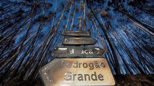 image_content_1595668_20180706091911.jpg image_content_1595668_20180706091911.jpg