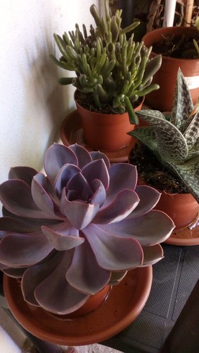 IMG_20170816_124943.jpg IMG_20170816_124943.jpg