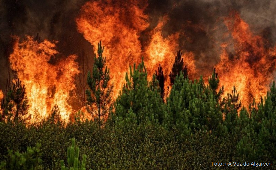 Fogos em Portugal.png