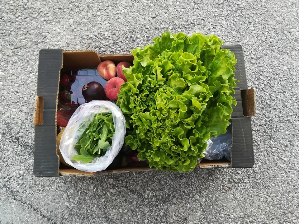 64359520_1391396677666756_9206749246403903488_n.jp 64359520_1391396677666756_9206749246403903488_n.jp