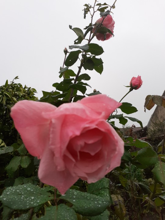 Foto Original. 2021.10.31.jpg